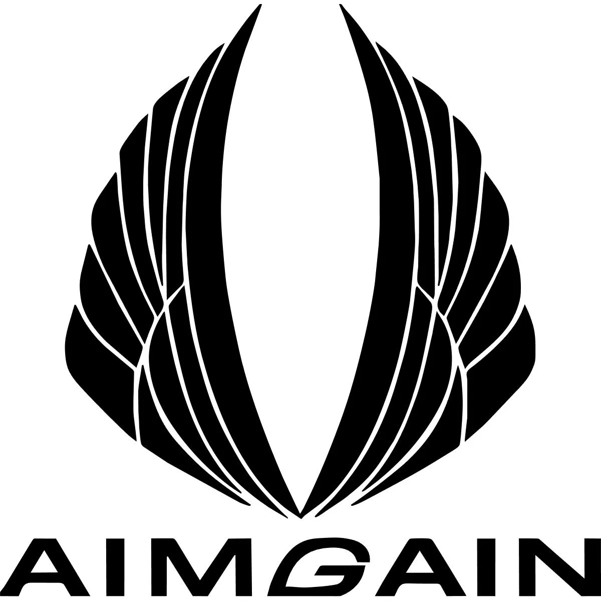 Aimgain